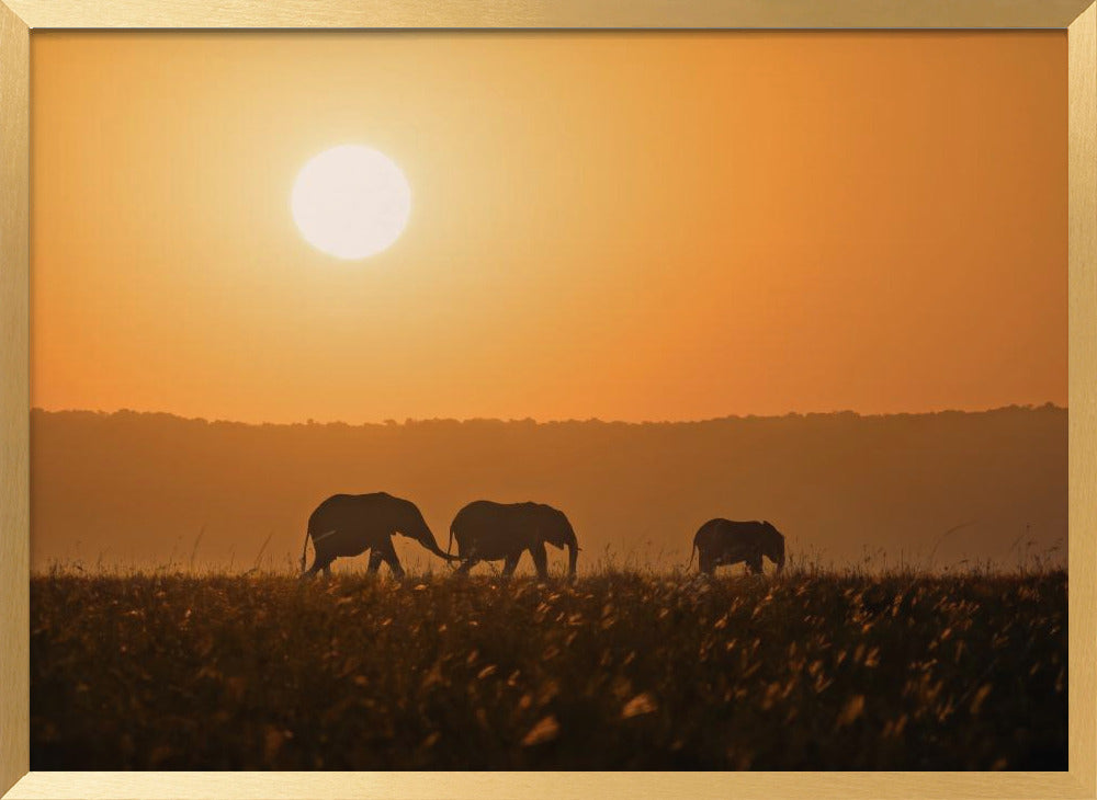 Sunset Walk Poster