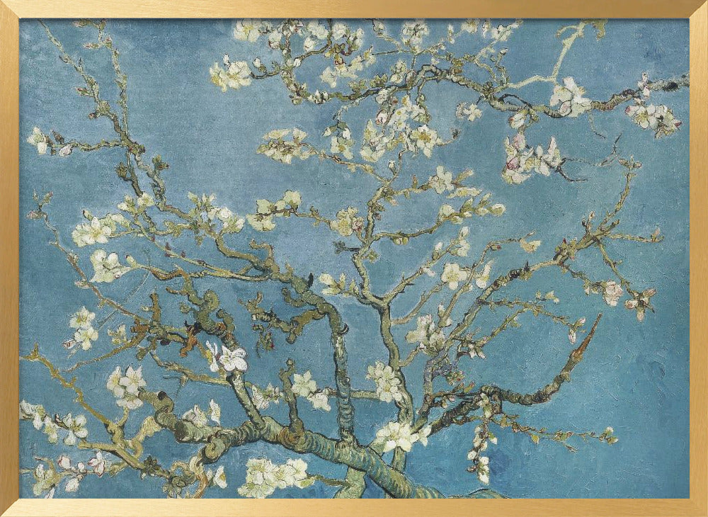 Vincent Van Gogh's Almond Blossom (1890) Poster