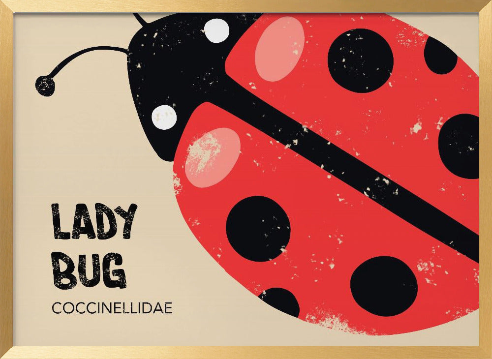 Lady Bug Poster