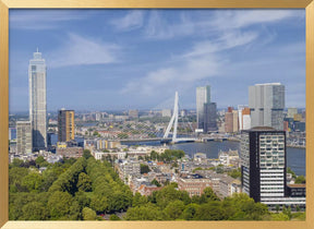 Unique Rotterdam panorama seen from the Euromast Poster