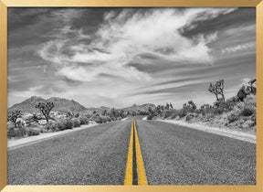 Park Boulevard, Joshua Tree National Park Poster