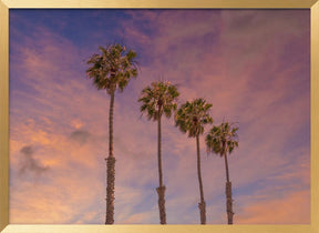 Palm trees - Idyllic sunset Poster