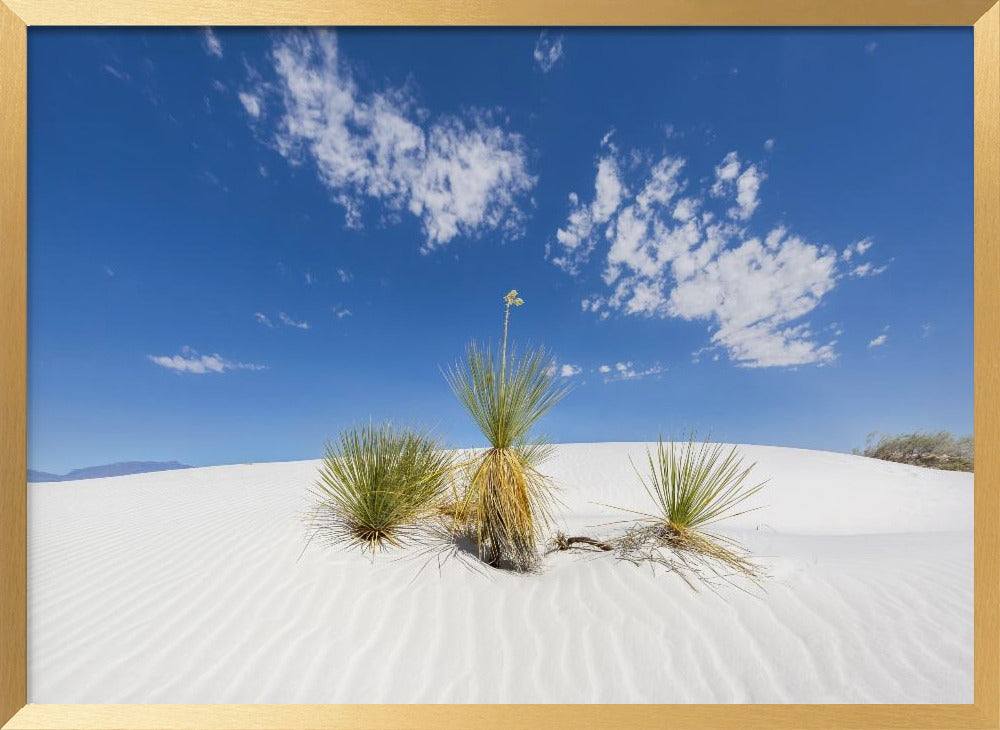 White Sands Impression Poster