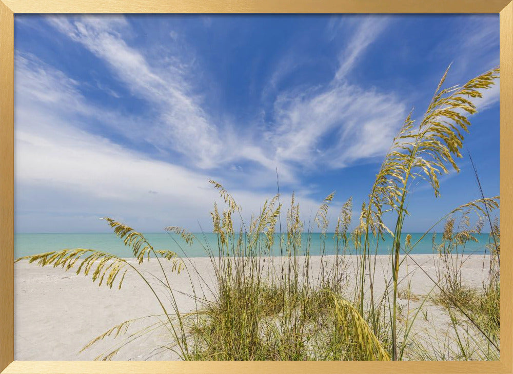 Heavenly calmness on the beach Poster