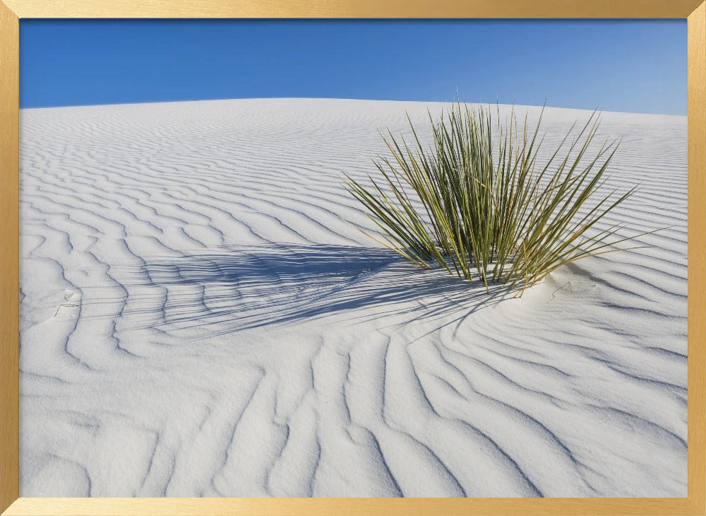 WHITE SANDS Idyllic scenery Poster