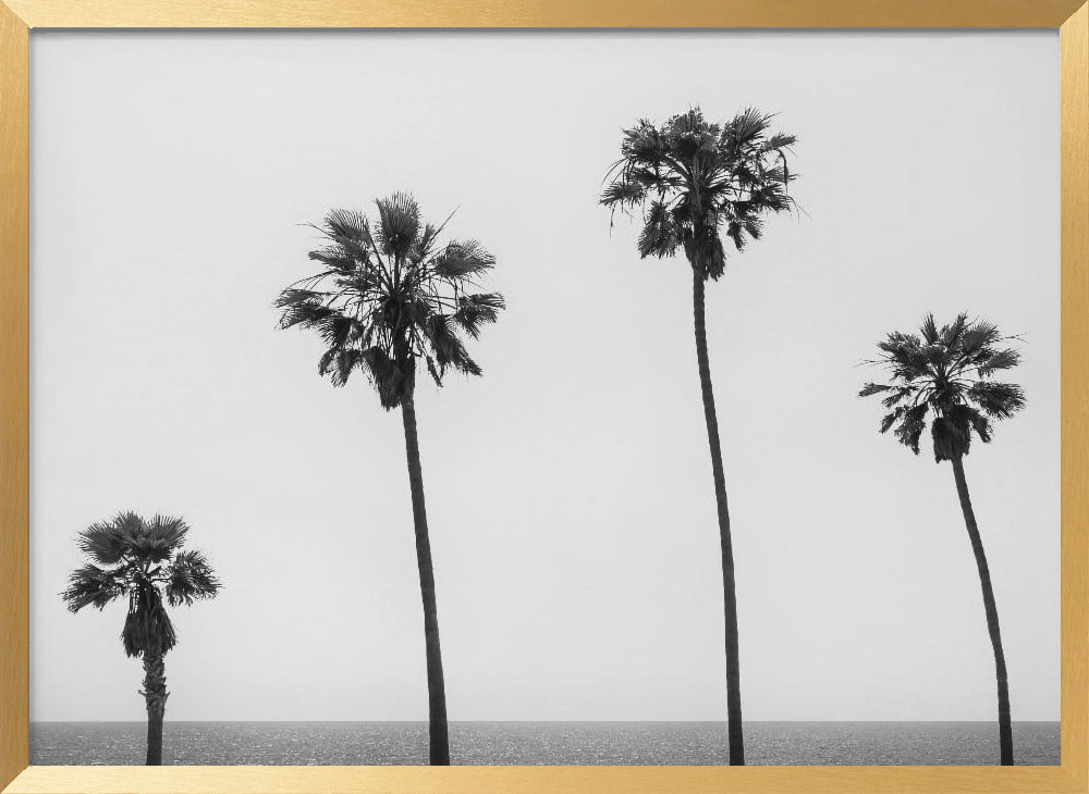 Palm trees by the sea | monochrome Poster