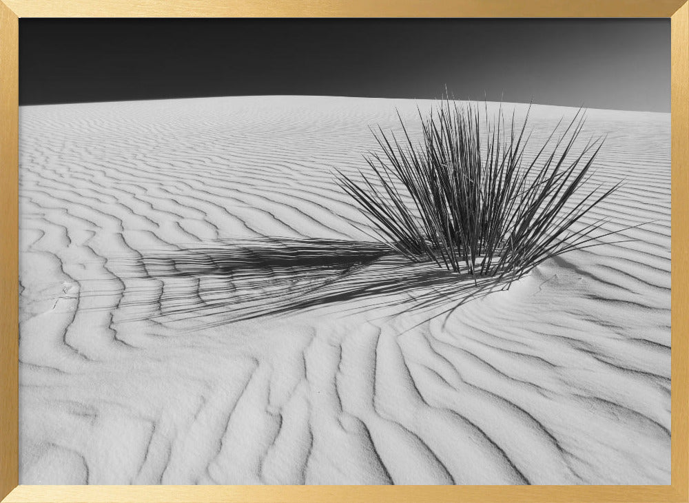 WHITE SANDS Idyllic scenery | Monochrome Poster