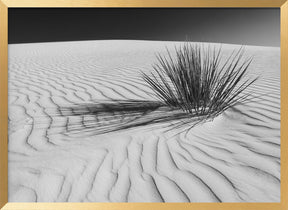 WHITE SANDS Idyllic scenery | Monochrome Poster