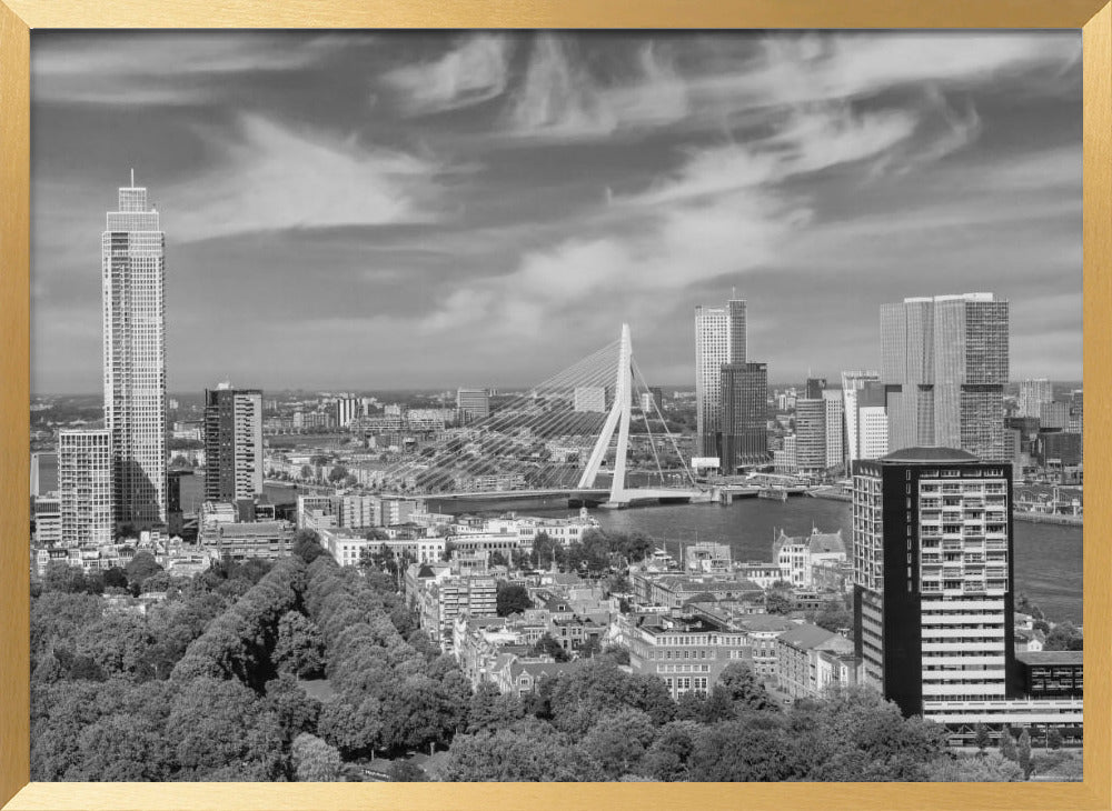 Unique Rotterdam panorama seen from the Euromast | Monochrome Poster