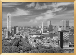 Unique Rotterdam panorama seen from the Euromast | Monochrome Poster