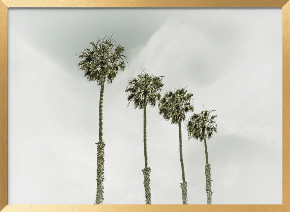 California Palm Trees Poster