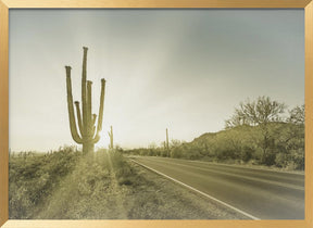 SAGUARO NATIONAL PARK Setting Sun | Vintage Poster