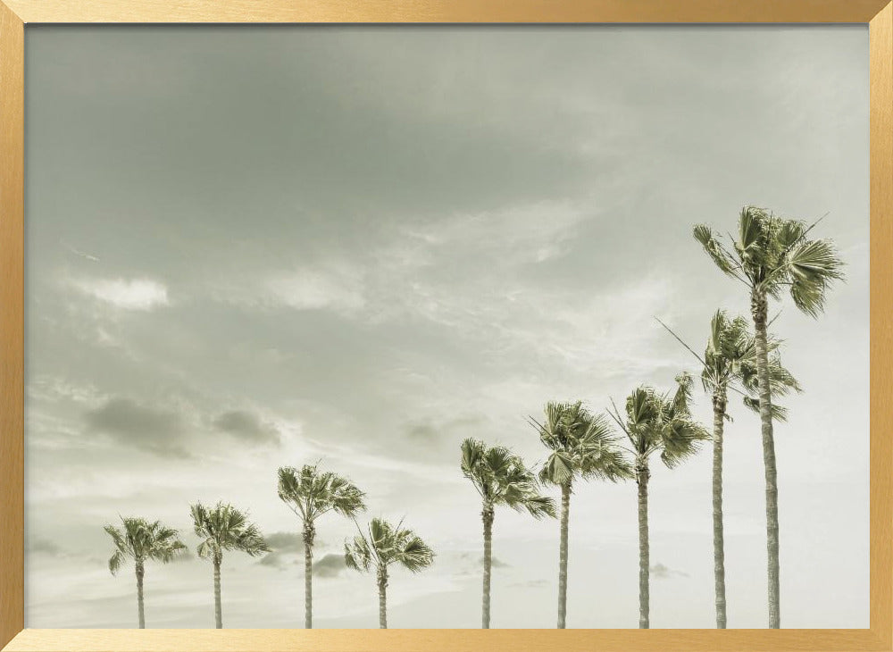 Vintage Palm Trees at the beach Poster