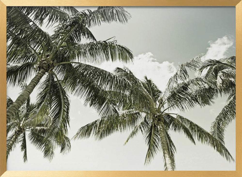 Vintage Palm Trees Poster