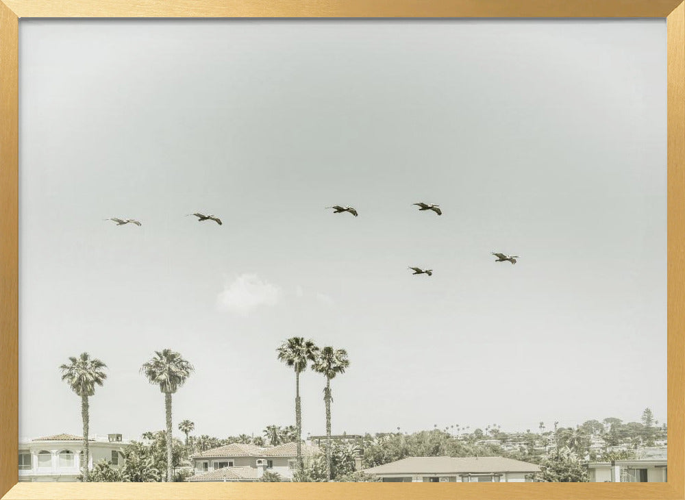 Above the rooftops of San Diego Poster