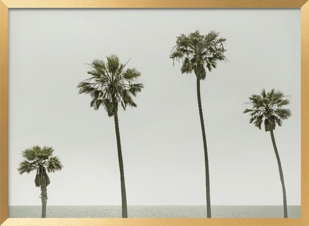 Vintage Palm Trees by the sea Poster