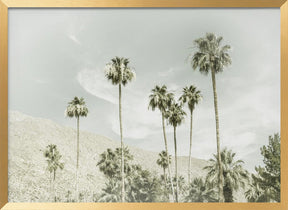 Palm Trees in the desert | Vintage Poster