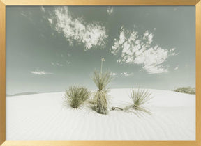 WHITE SANDS Vintage Poster