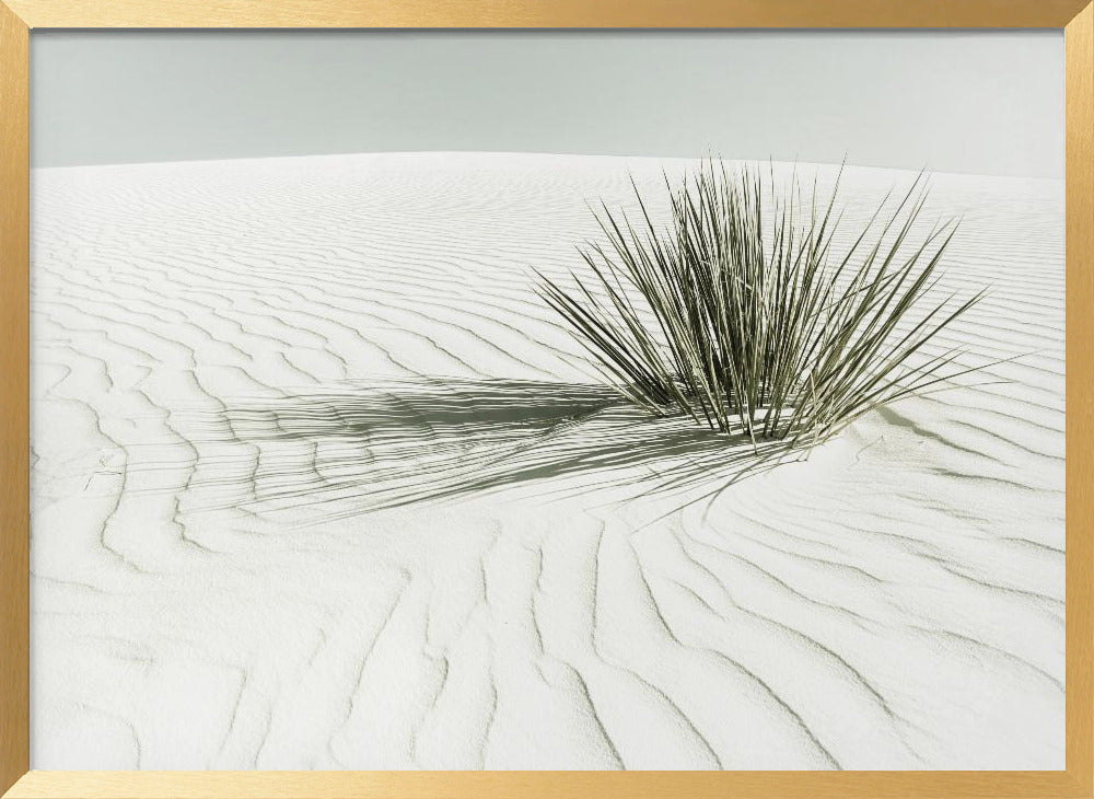 WHITE SANDS Vintage Dune Poster