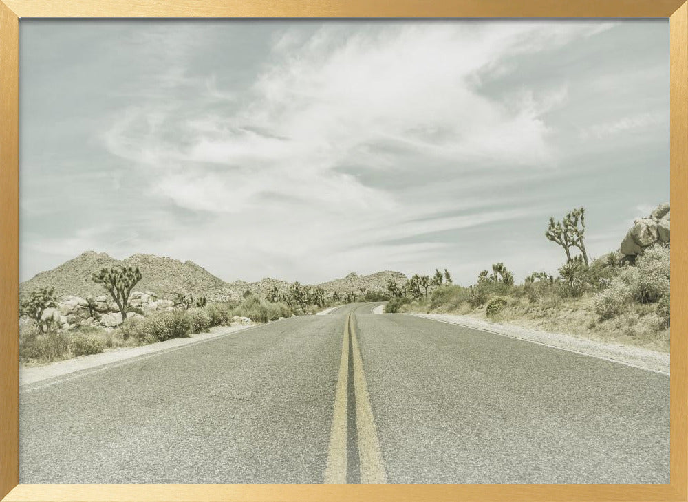 Vintage Joshua Trees, Park Boulevard Poster