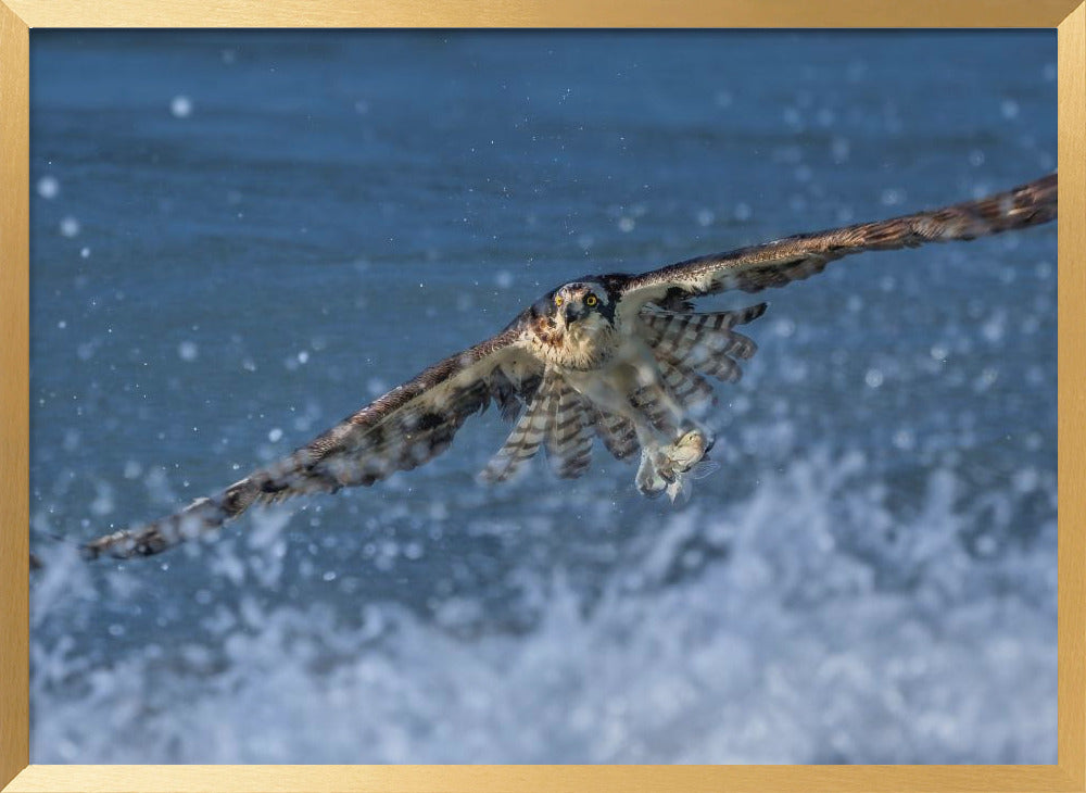 Catch on the Wave Poster