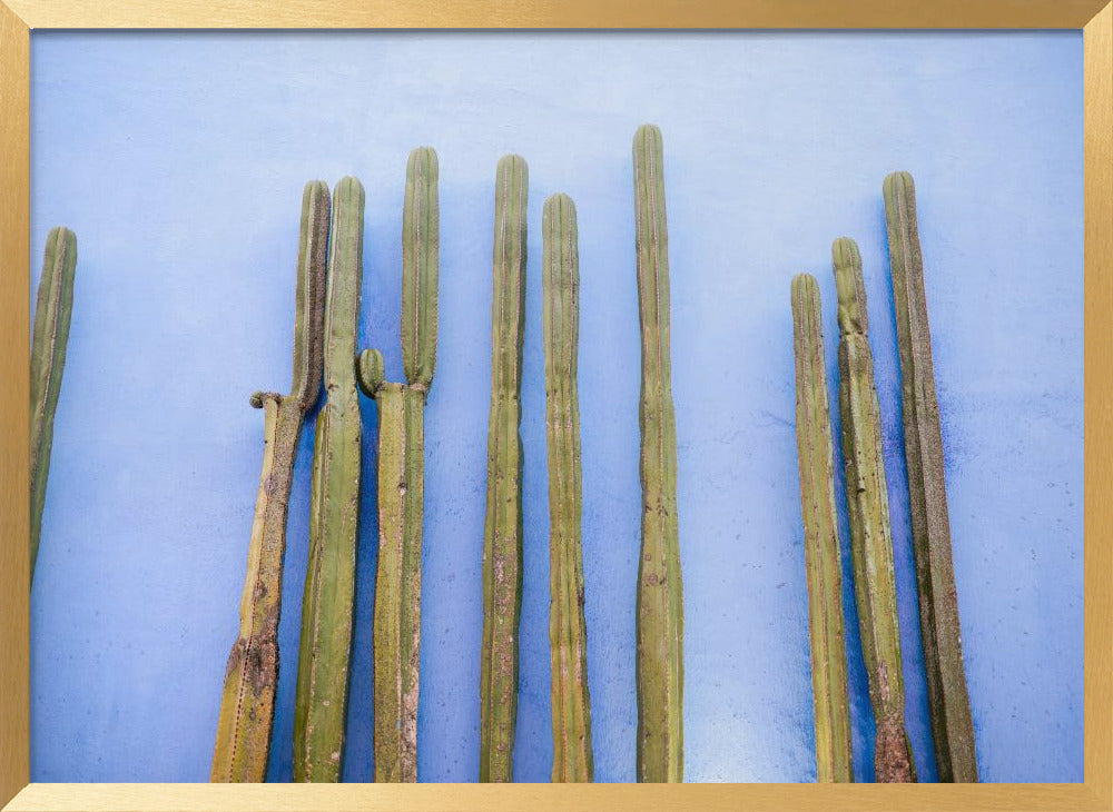 Tall Cacti on Blue | Oaxaca Mexico Travel Poster