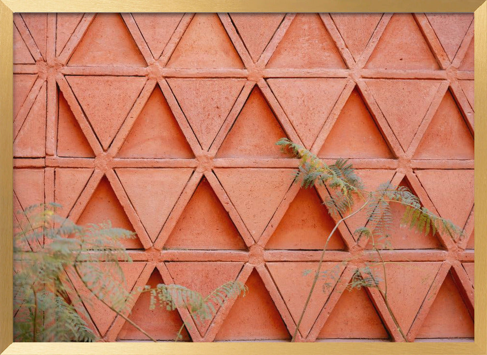 Coral details of Oaxacan Architecture in Mexico Poster