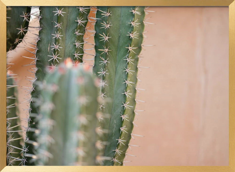Botanical Pastel Marrakech Poster