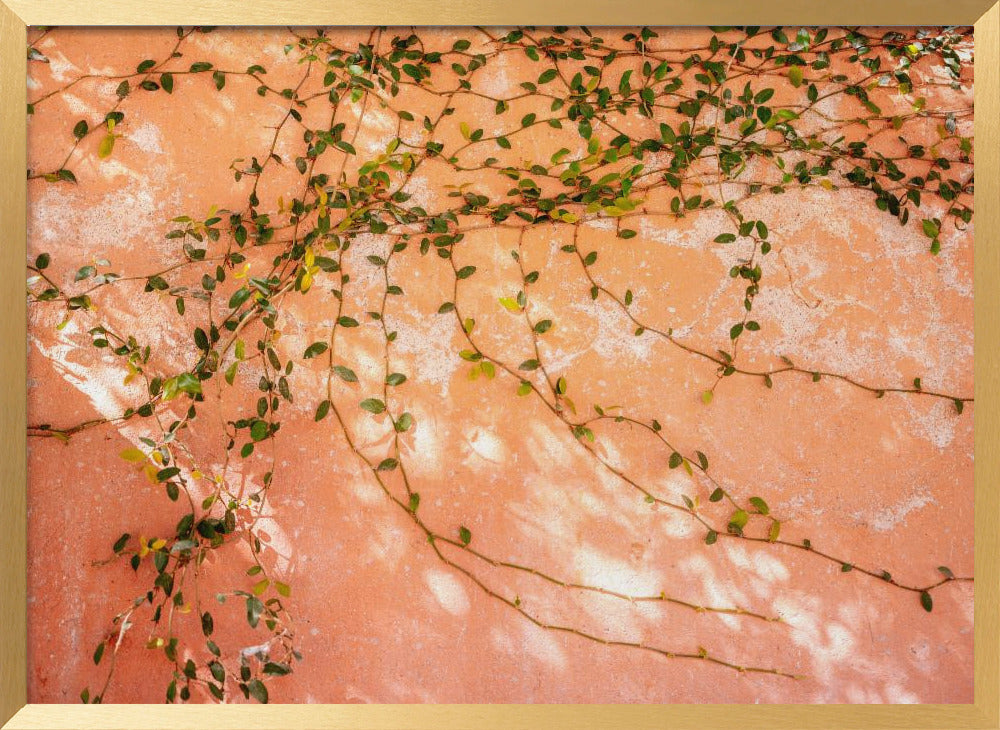 Botanical San Miguel de Allende | Mexico travel photography Poster