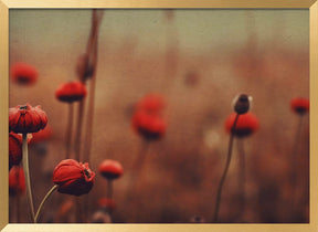 Red Flowers no 1 Poster