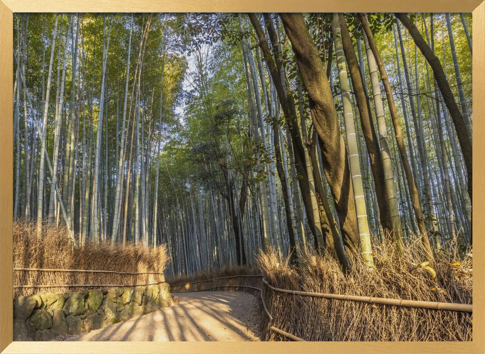 Impressive Arashiyama Bamboo Forest Poster