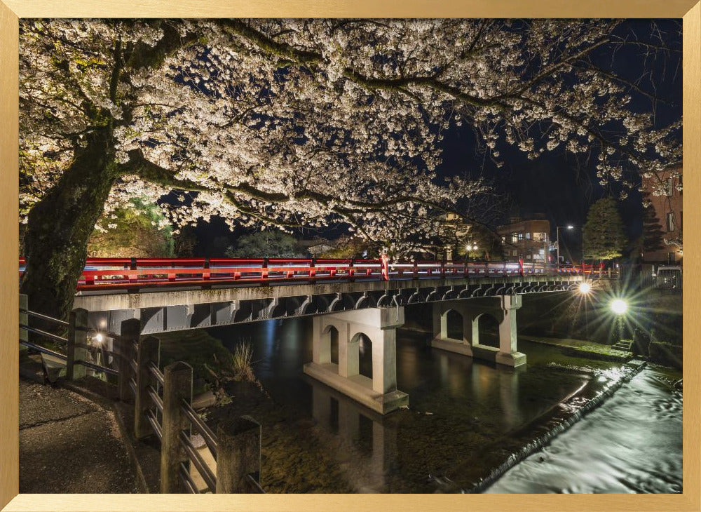 Picturesque Nakabashi Bridge in the evening Poster