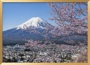 Picturesque view of Mount Fuji during cherry blossom season Poster