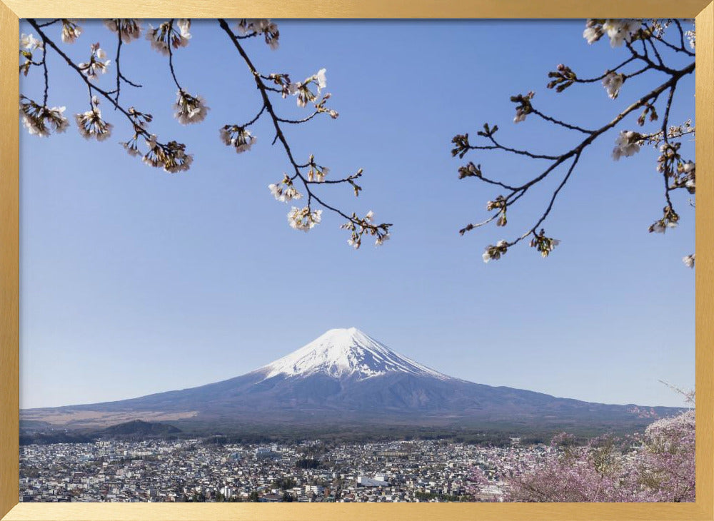 Fantastic panoramic view of Mount Fuji with cherry blossoms Poster