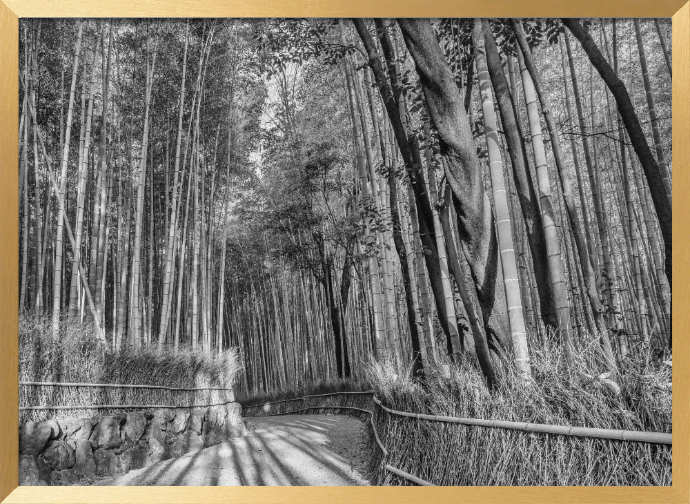 Impressive Arashiyama Bamboo Forest - monochrome Poster