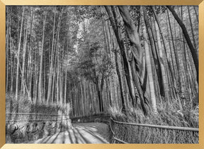 Impressive Arashiyama Bamboo Forest - monochrome Poster