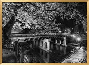 Picturesque Nakabashi Bridge in the evening - monochrome Poster