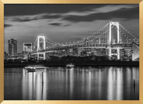 Gorgeous Rainbow Bridge and Tokyo Skyline at sunset - monochrome panorama Poster