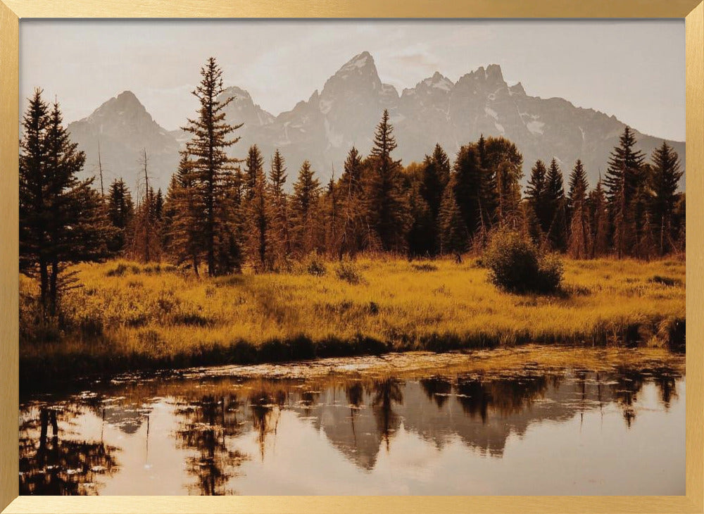 Schwabacher Landing Poster