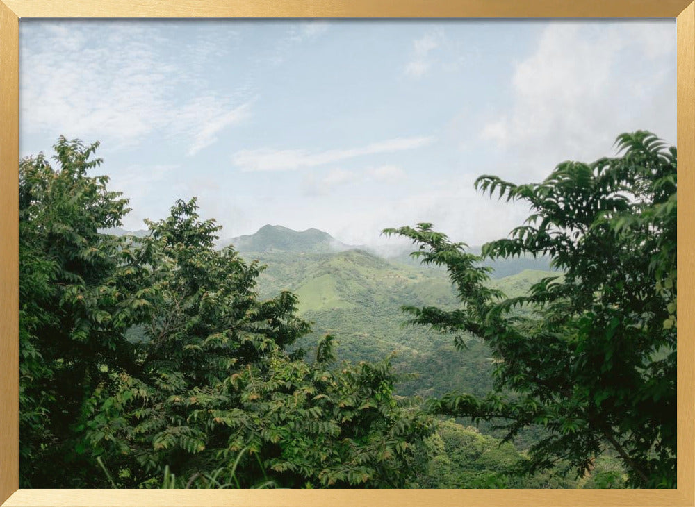 Greens of Monteverde Costa Rica Poster