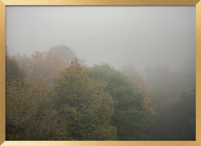 Foggy Autumn Forest Poster