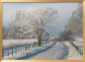 A Frosty Morning Poster