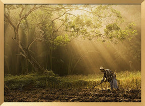 A Farmer Poster