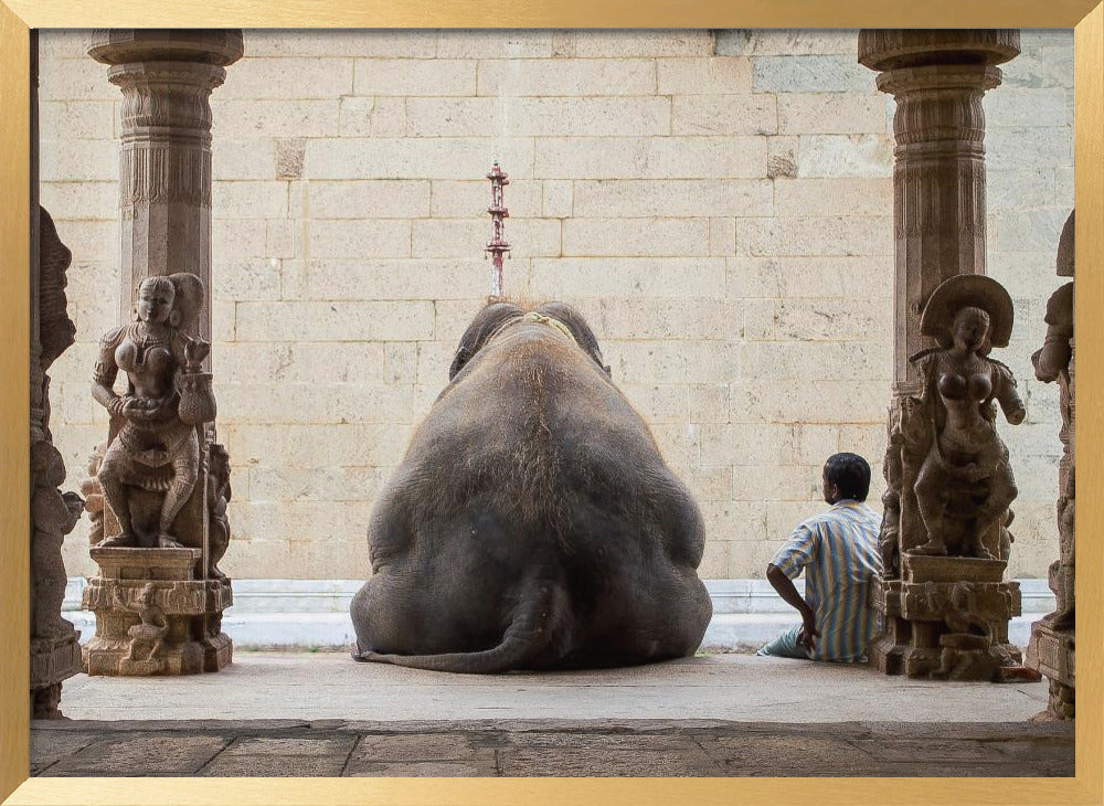 The Elephant &amp; its Mahot Poster