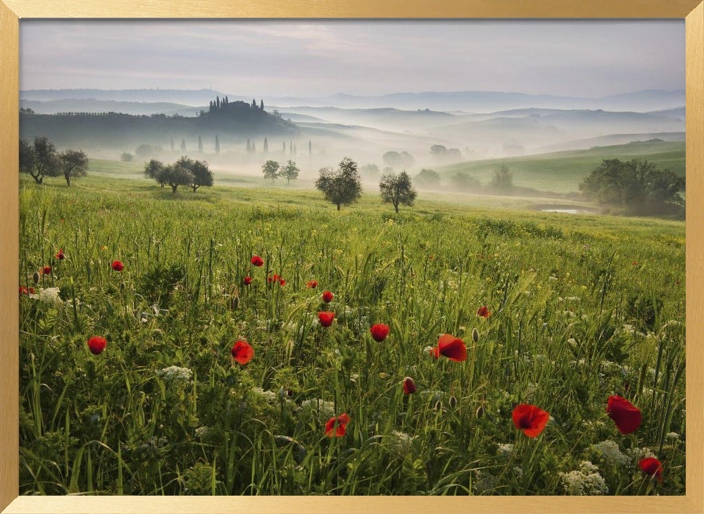 Tuscan spring Poster