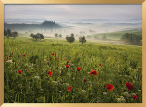 Tuscan spring Poster