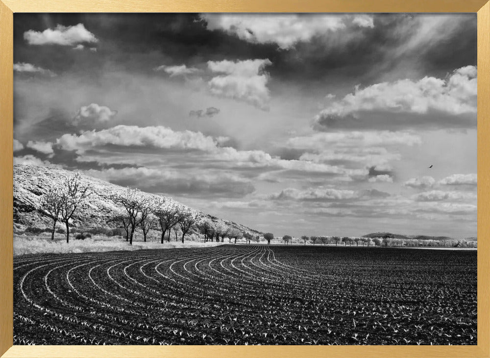 Bio athletic stadium Poster