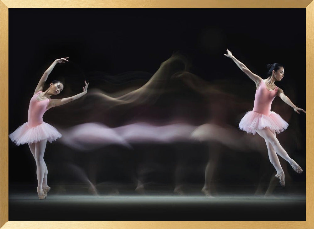 Graceful Balerina Poster