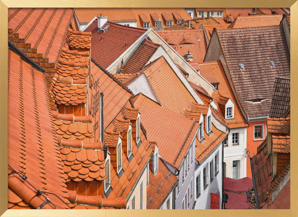 The color of these roofs... Poster