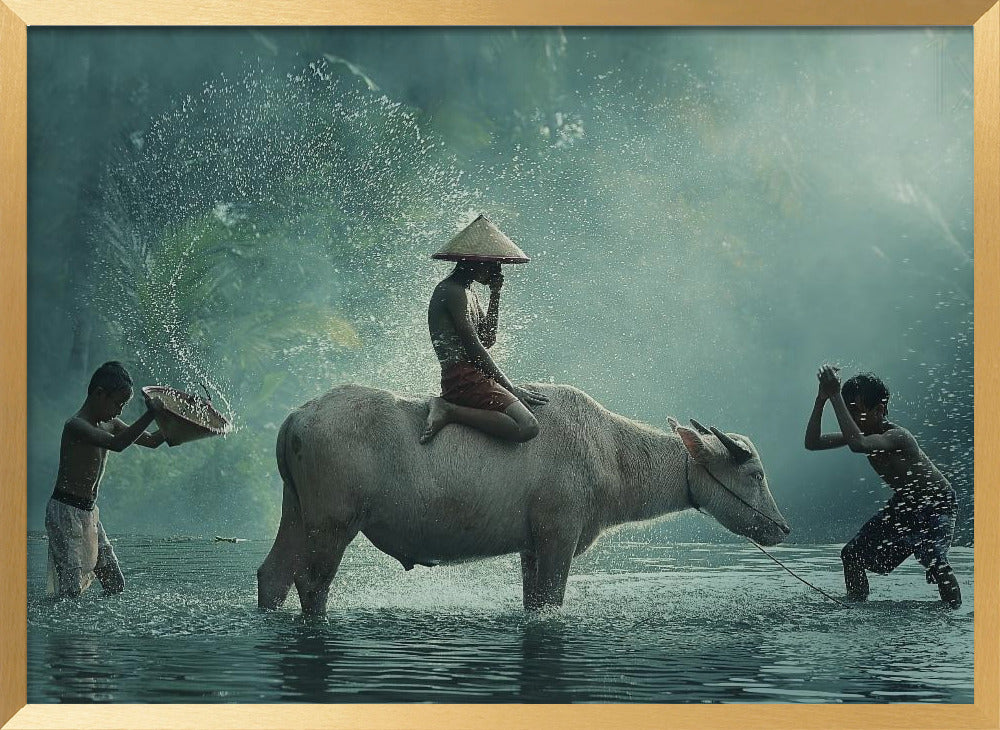 Water Buffalo Poster